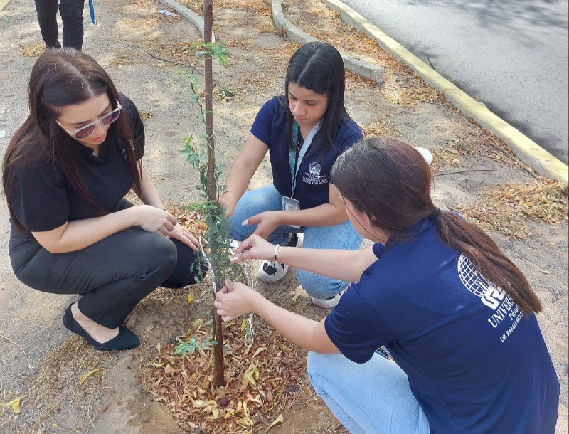 Rectora de la URBE lidera jornada de riego de plantas en Circunvalación 2 en pro de la sostenibilidad ambiental