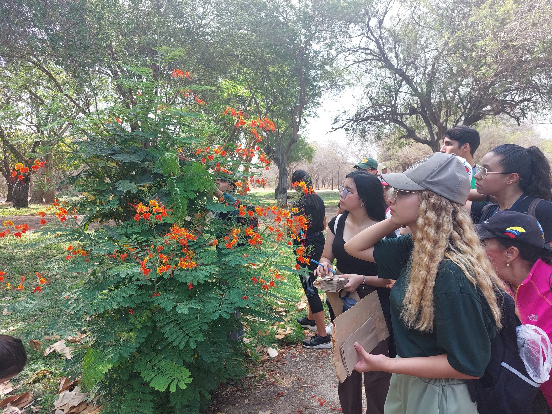 URBE recolecta semillas en el Jardín Botánico de Maracaibo