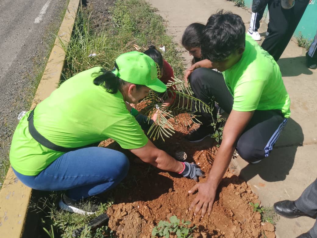 URBE participó en jornada de siembra de árboles en Maracaibo