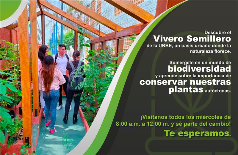 Sustentable