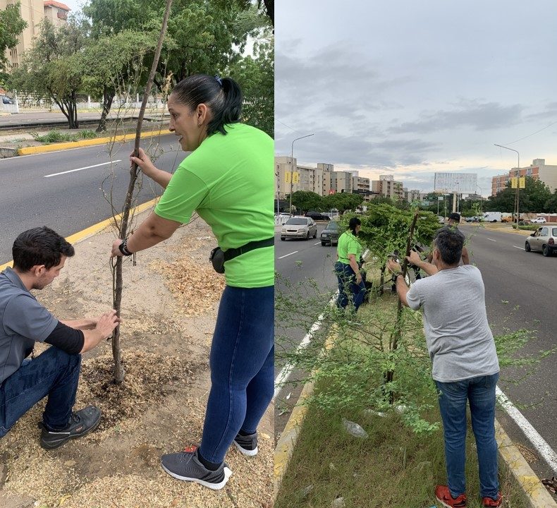 URBE comienza el 2025 con exitosa Jornada de riego y mantenimiento de árboles