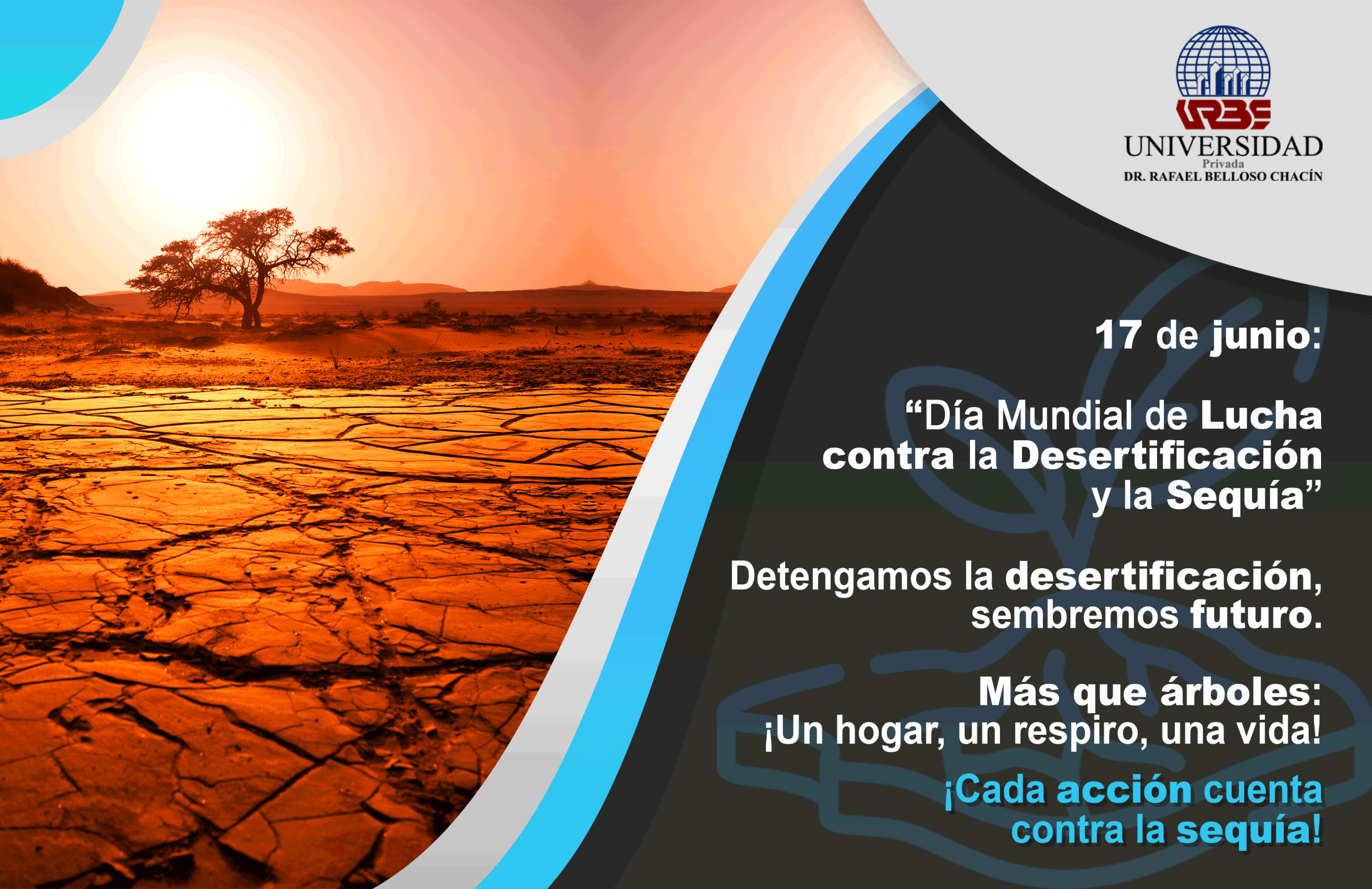 SUSTENTABLE