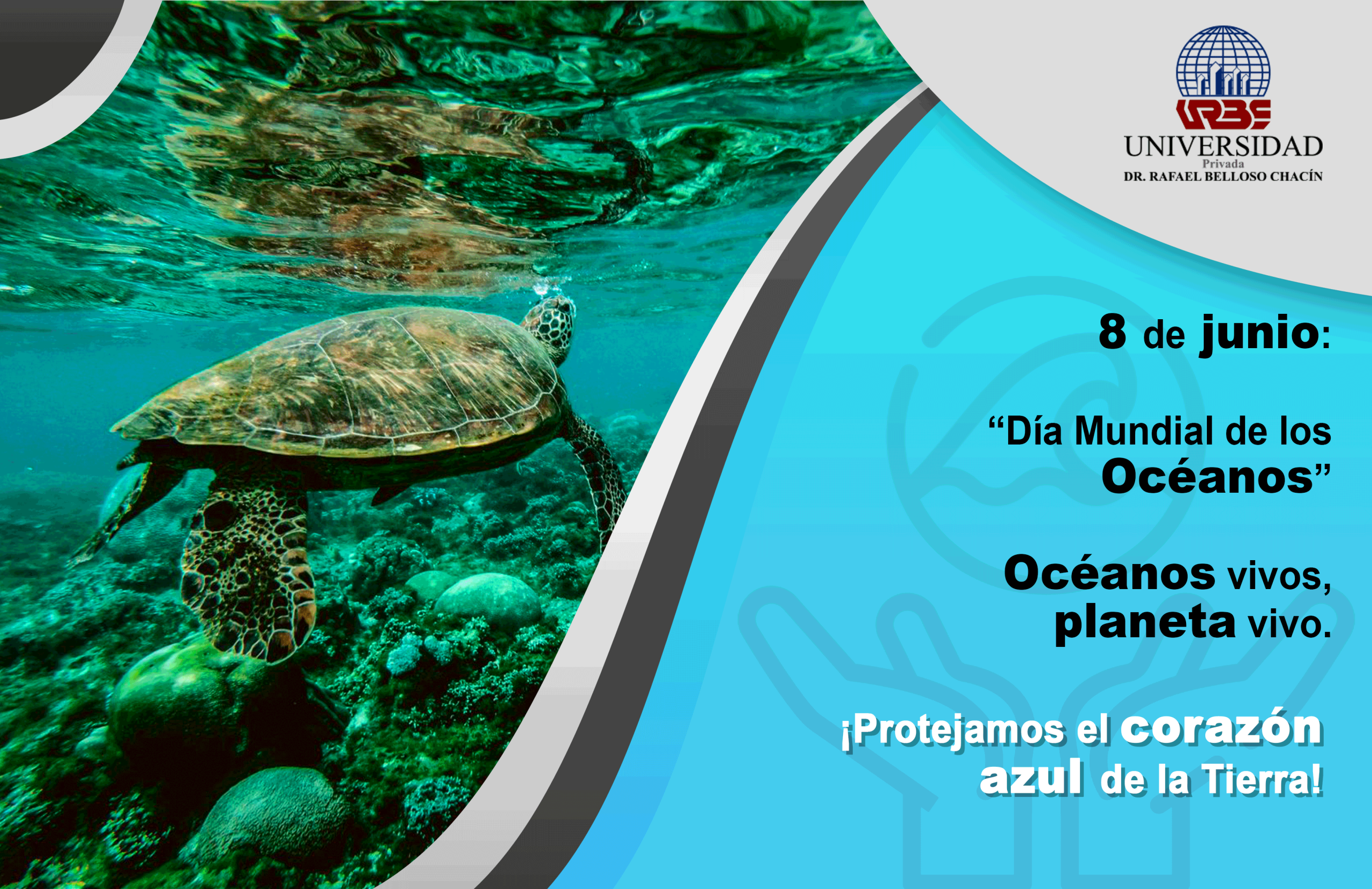 SUSTENTABLE