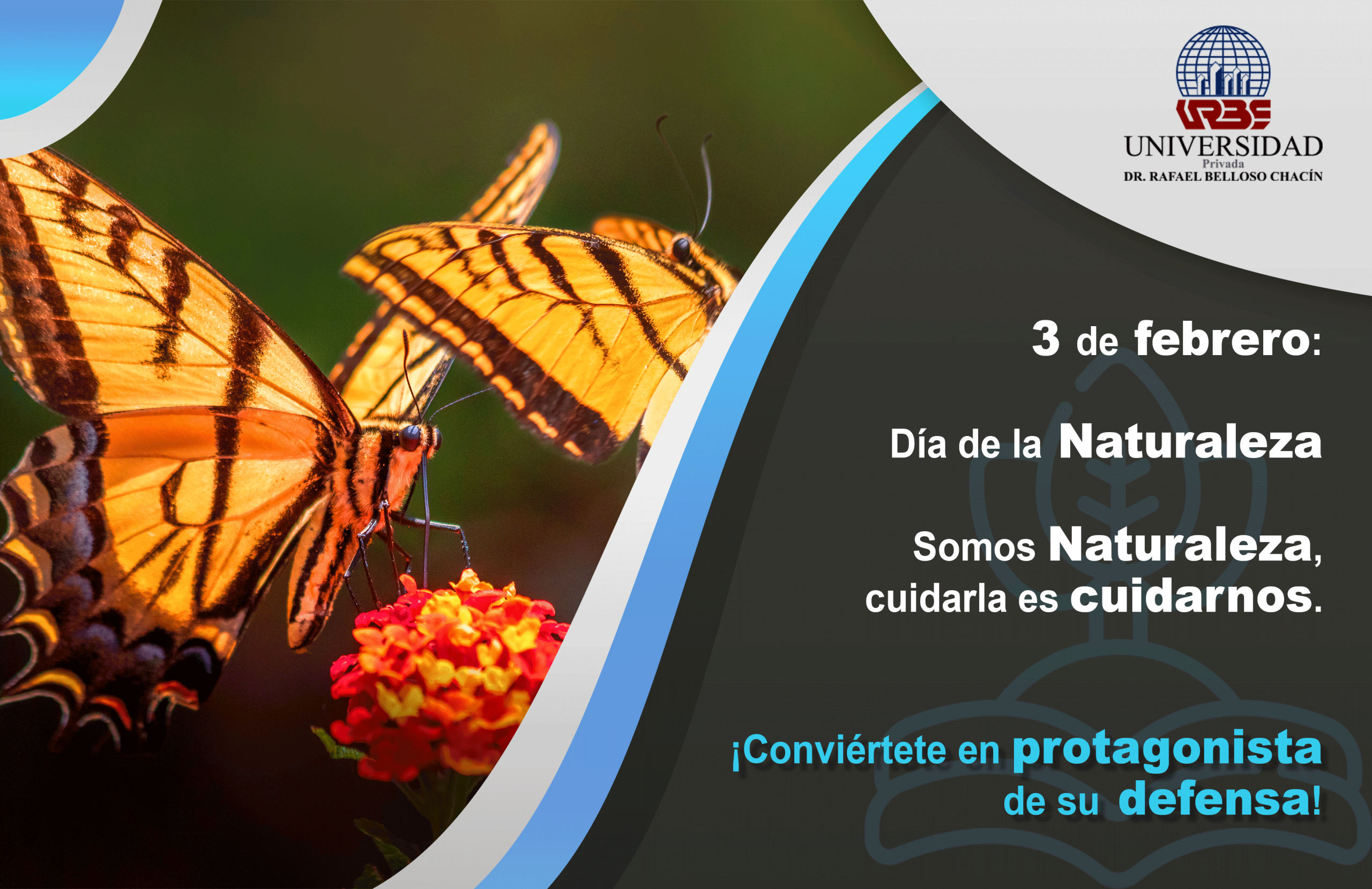Sustentable