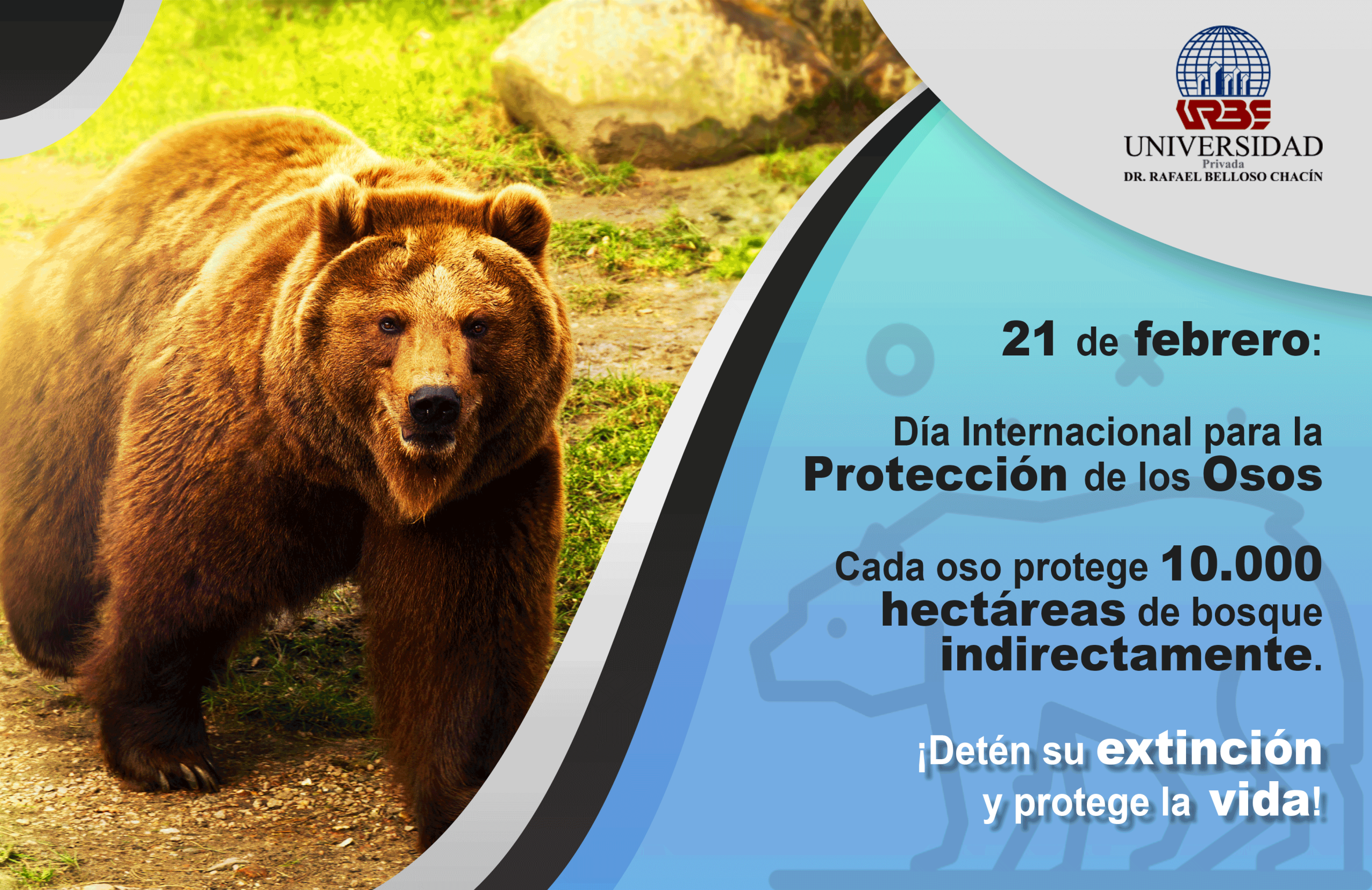 Sustentable