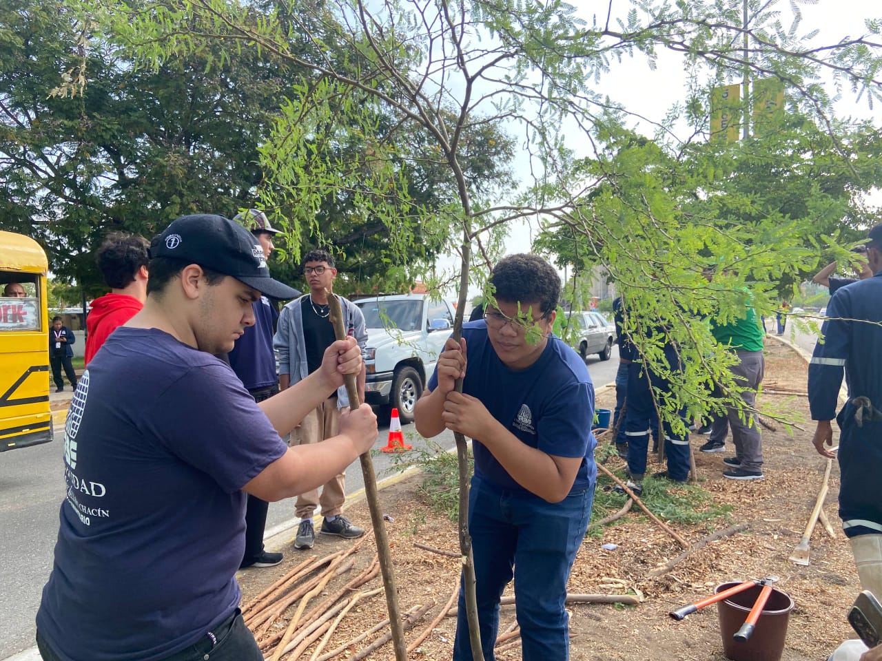 URBE realizó jornada de mantenimiento arbóreo en articulación con voluntarios y organizaciones ambientales