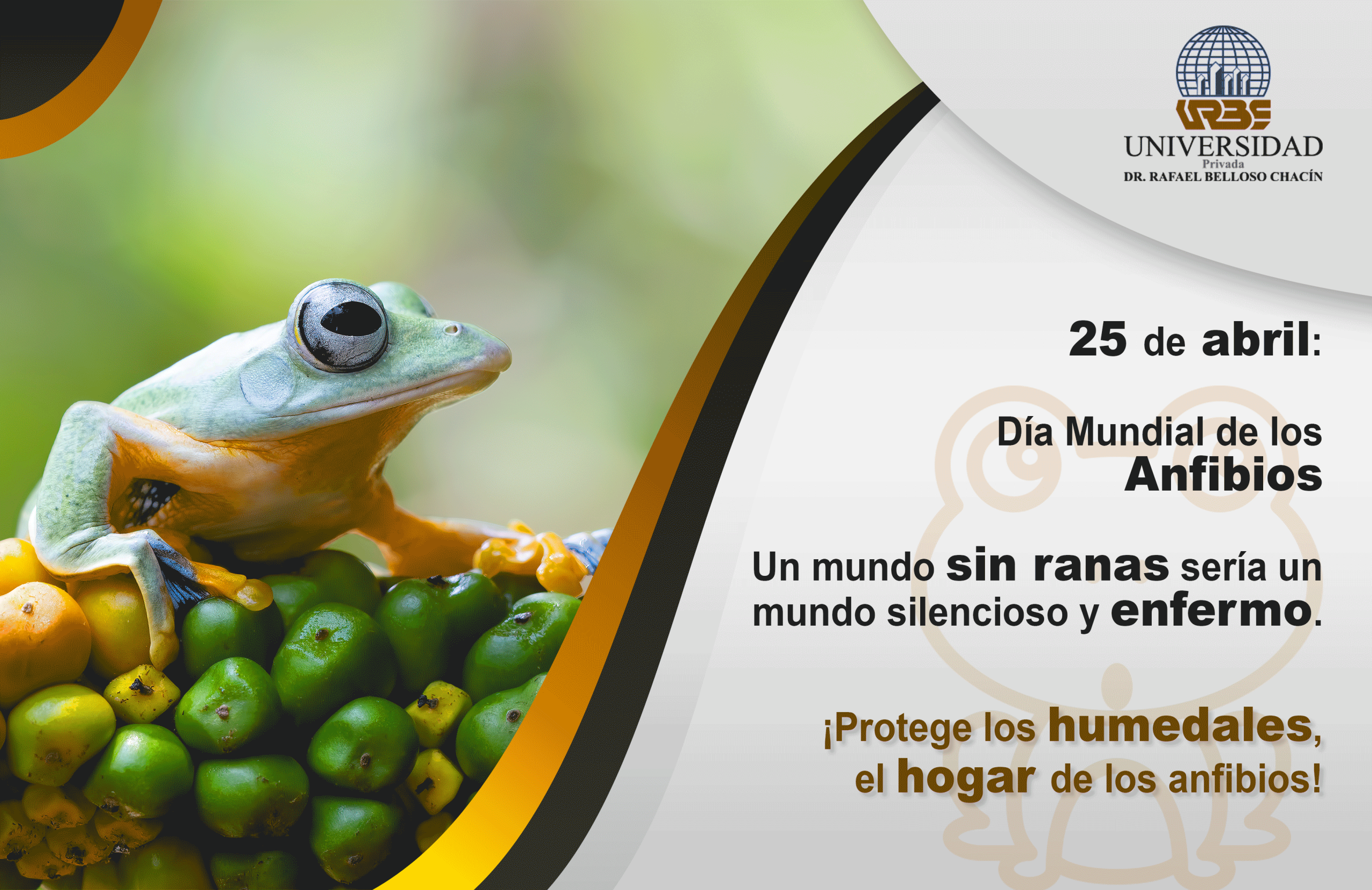 Sustentable