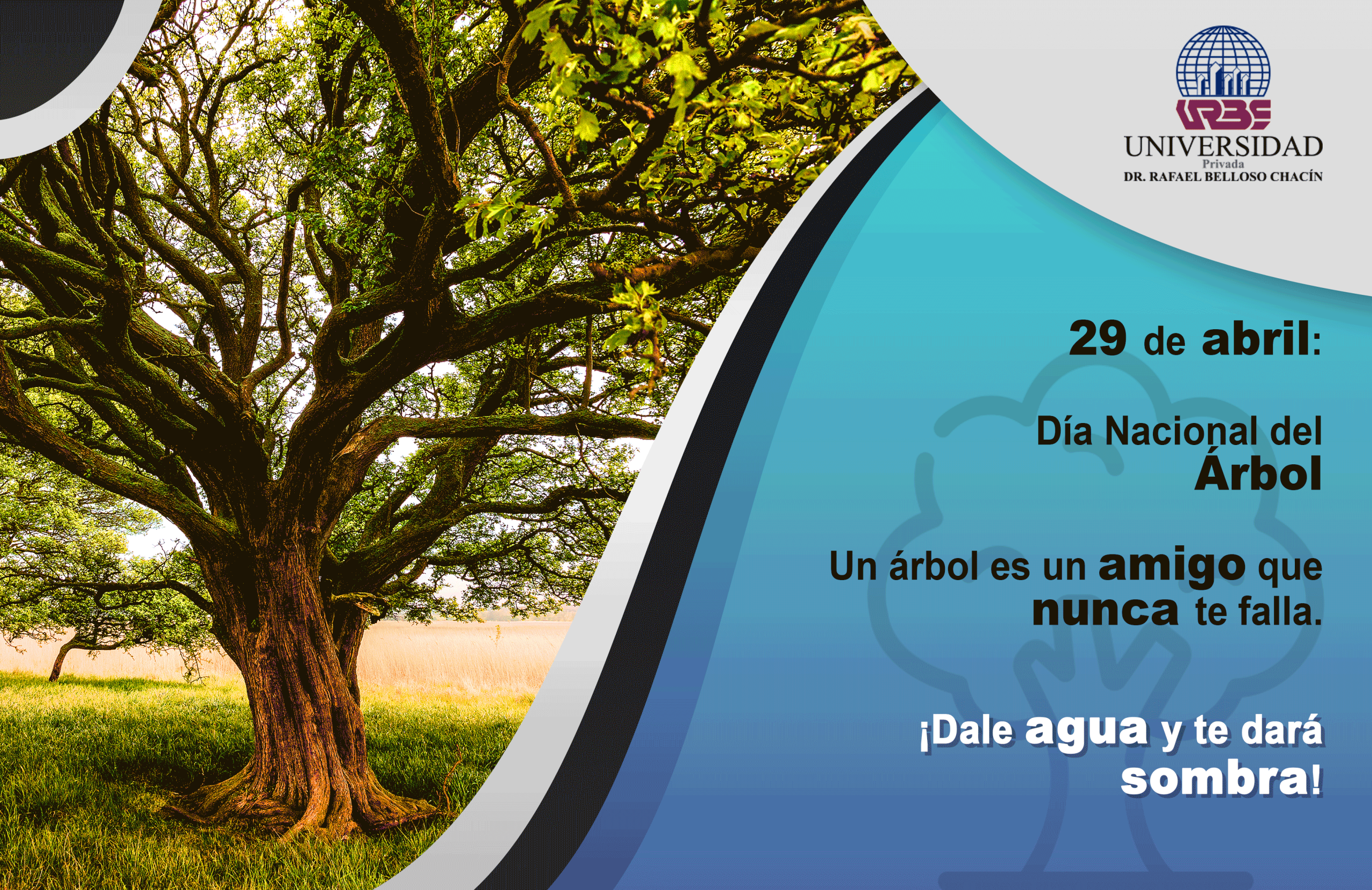 Sustentable