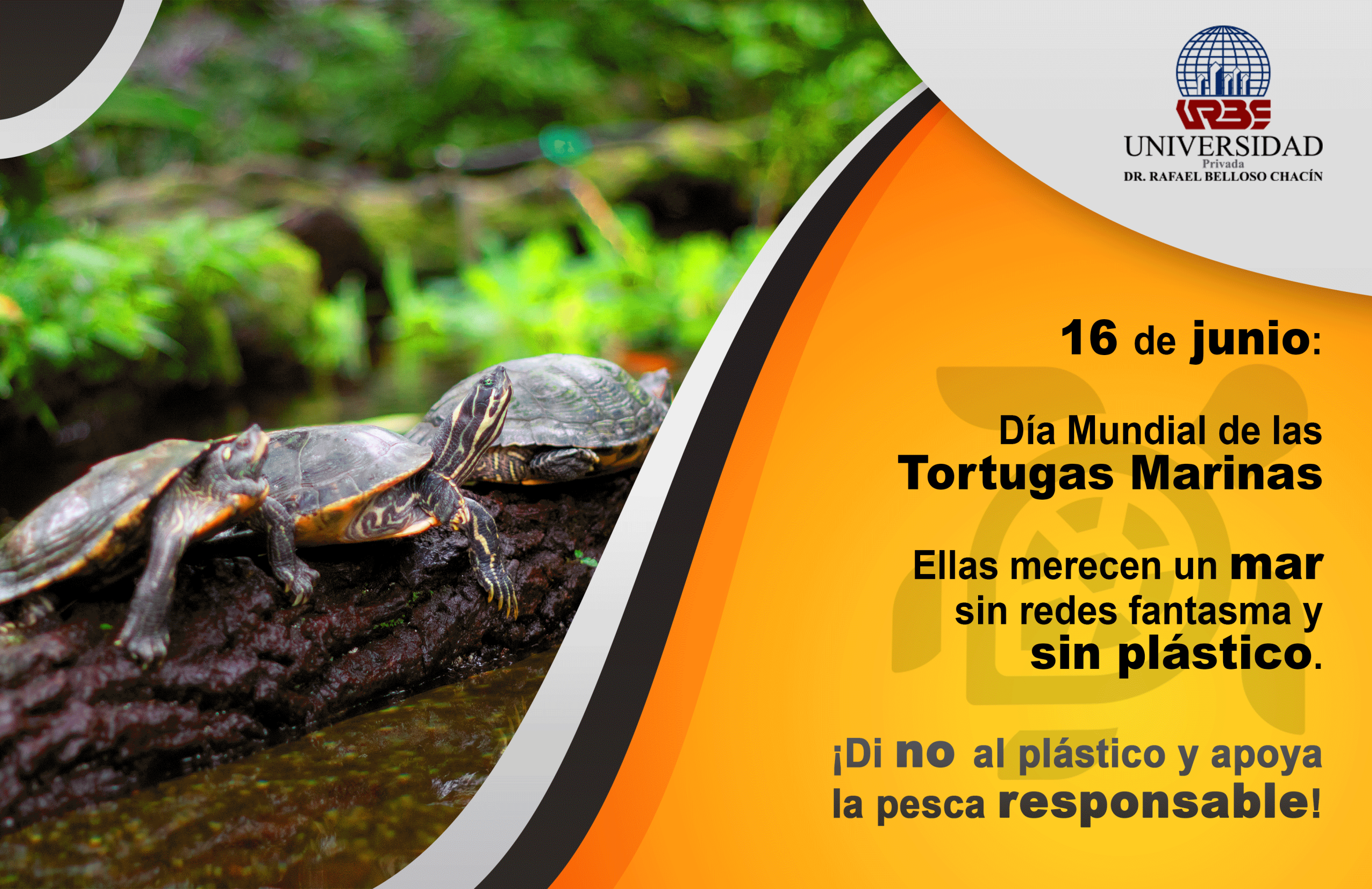 Sustentable